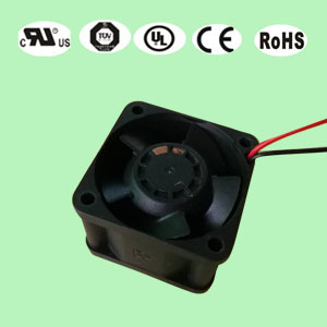 402891视频黄色网