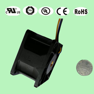 603891视频黄色网